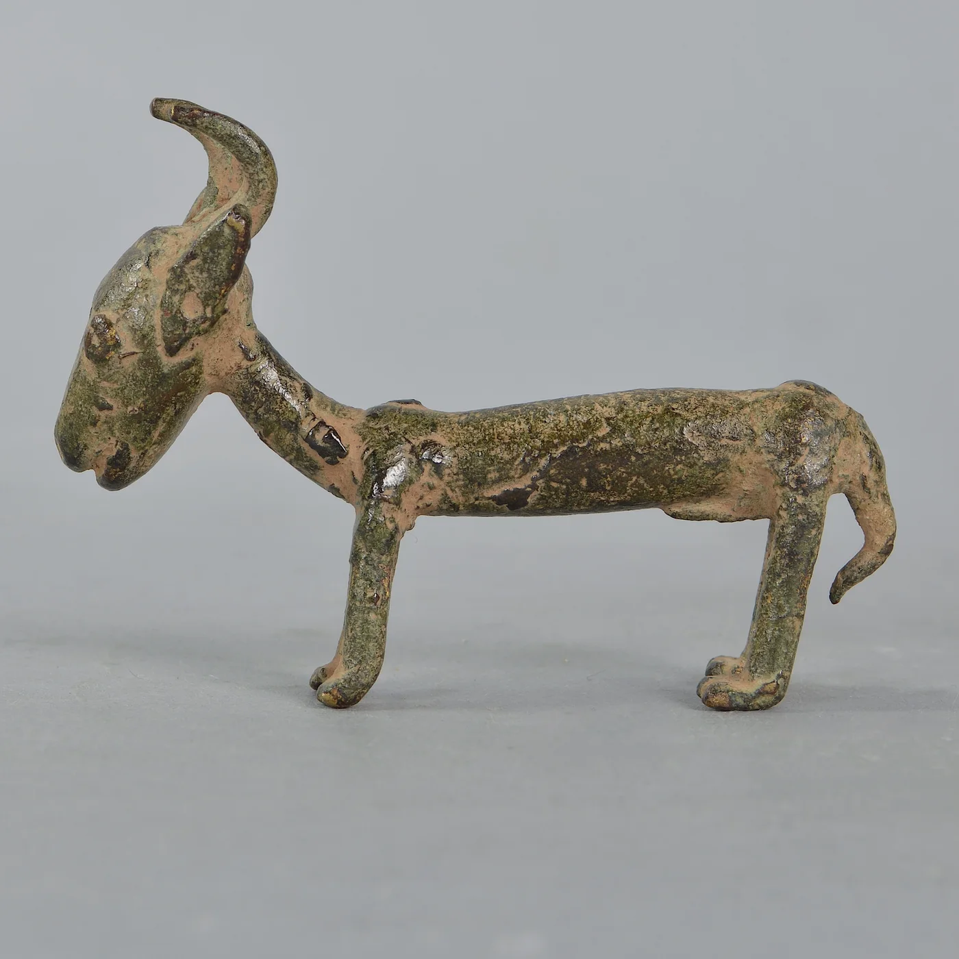 Burkina Faso Antelope